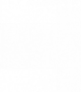 Clapet crépine Laiton obturateur polymère